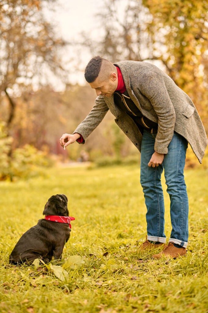 Dog trainer rewarding a dog with a treat during an outdoor training session